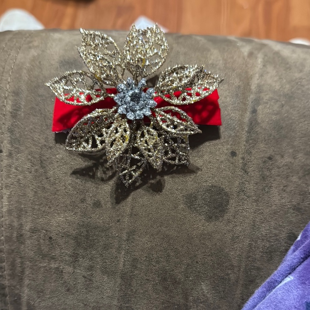 Intricate Gold and Red Hair Accessory